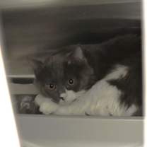 Thumbnail photo of 7 #1