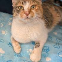 Thumbnail photo of KayKay #1