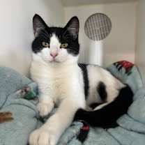 Thumbnail photo of Zeta #1