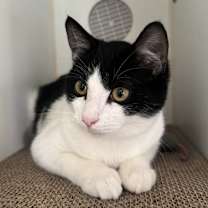 Thumbnail photo of Zeta #2