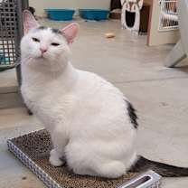 Thumbnail photo of Stuffy #3