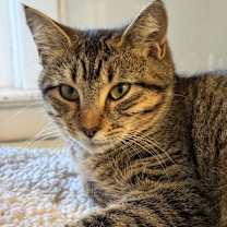 Thumbnail photo of Home Run #2