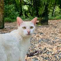 Thumbnail photo of Bunny #1