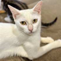 Thumbnail photo of Bunny #2