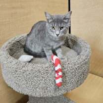 Thumbnail photo of Willie #1