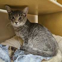 Thumbnail photo of Willie #2