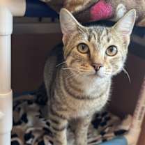 Thumbnail photo of Louise #1