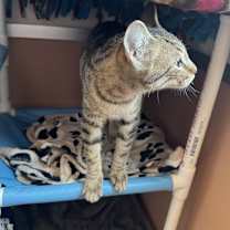 Thumbnail photo of Louise #2