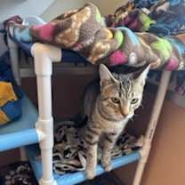 Thumbnail photo of Louise #3