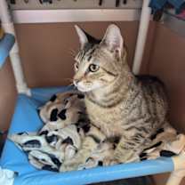 Thumbnail photo of Louise #4