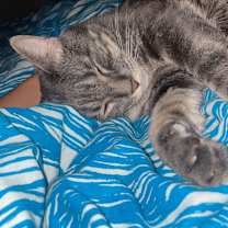 Thumbnail photo of Peter #3