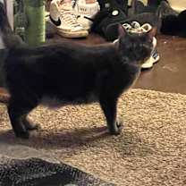 Thumbnail photo of Peter #4