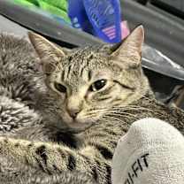 Thumbnail photo of yumi #2