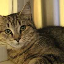 Thumbnail photo of Reagan #1