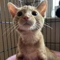 Thumbnail photo of Push Pop #1