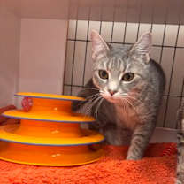 Thumbnail photo of Britt #3