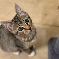 Thumbnail photo of Flora #1