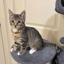 Thumbnail photo of Flora #2