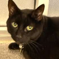 Thumbnail photo of Jax #1