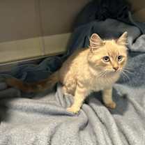 Thumbnail photo of Kevin* #2