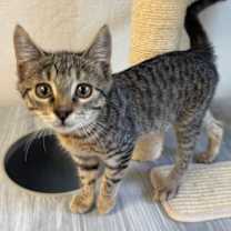 Thumbnail photo of Buddy #2