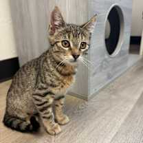 Thumbnail photo of Buddy #3