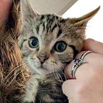 Thumbnail photo of Bob #4