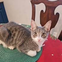 Thumbnail photo of Nellie #1