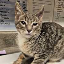 Thumbnail photo of Kenneth #2