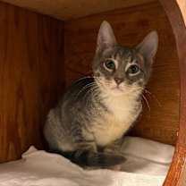 Thumbnail photo of Kenneth #3