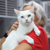 Thumbnail photo of Snowdrop #3