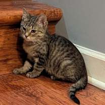 Thumbnail photo of Rebecca #1