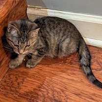 Thumbnail photo of Rebecca #2