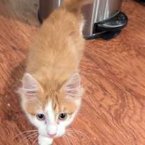 Thumbnail photo of Sam #3