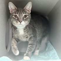 Thumbnail photo of Mari #2