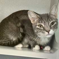 Thumbnail photo of Mari #4