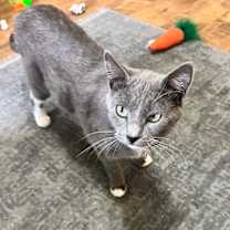 Thumbnail photo of Momma Mia #4