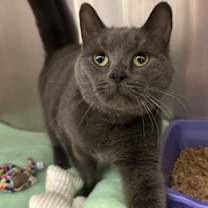 Thumbnail photo of Mister #1