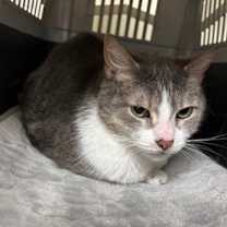 Thumbnail photo of Todd #3