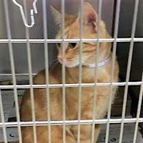 Thumbnail photo of Jared #1