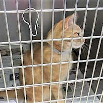 Thumbnail photo of Jared #2