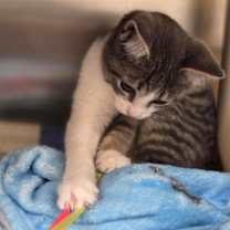 Thumbnail photo of Chill #2