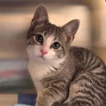 Thumbnail photo of Chill #3