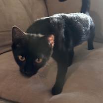 Thumbnail photo of Michael #1