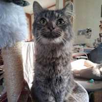 Thumbnail photo of Emma #1