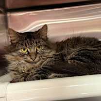 Thumbnail photo of Emma #3