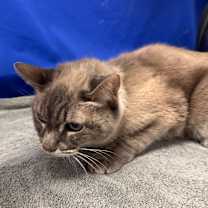 Thumbnail photo of Becca #2