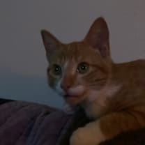 Thumbnail photo of Lip #2