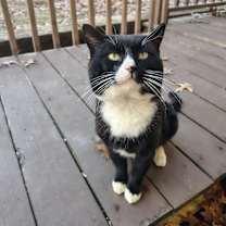 Thumbnail photo of Buddy #3