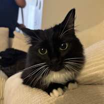 Thumbnail photo of Luna #1